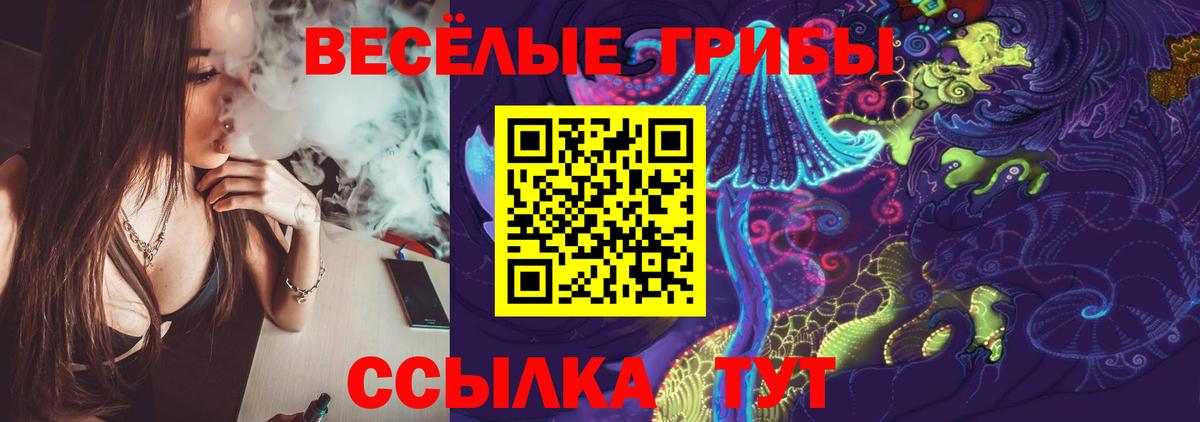 Псилоцибиновые грибы Cubensis  Вход с VPN  Киселёвск  Псилоцибиновые грибы Psilocybe 
