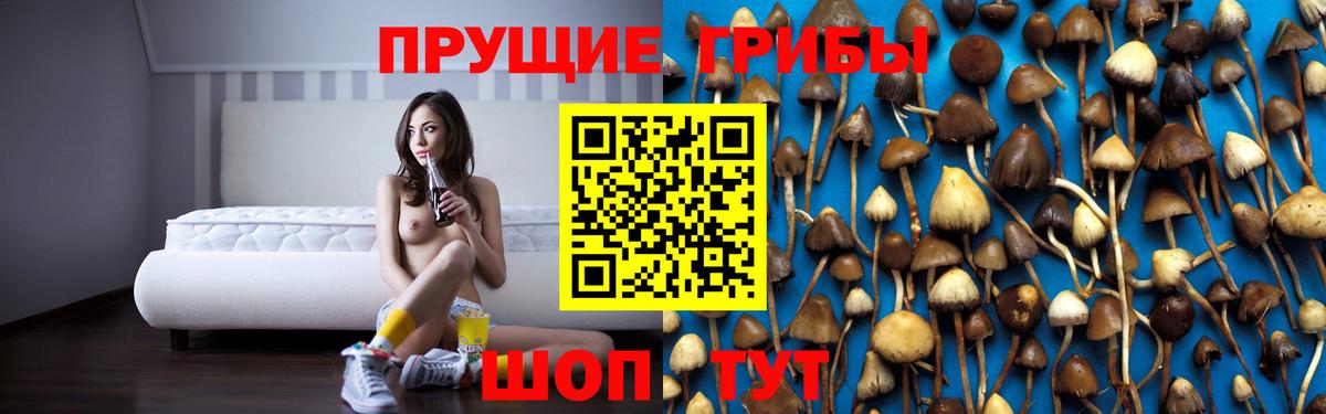 Галлюциногенные грибы прущие грибы Киселёвск